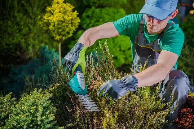 landscaping services Moreauville